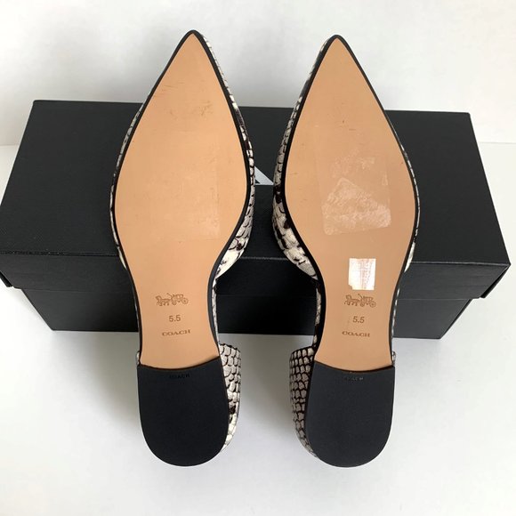 ❌SOLD- COACH Printed Exotic Pointy Toe Flat 5.5 - Picture 11 of 11